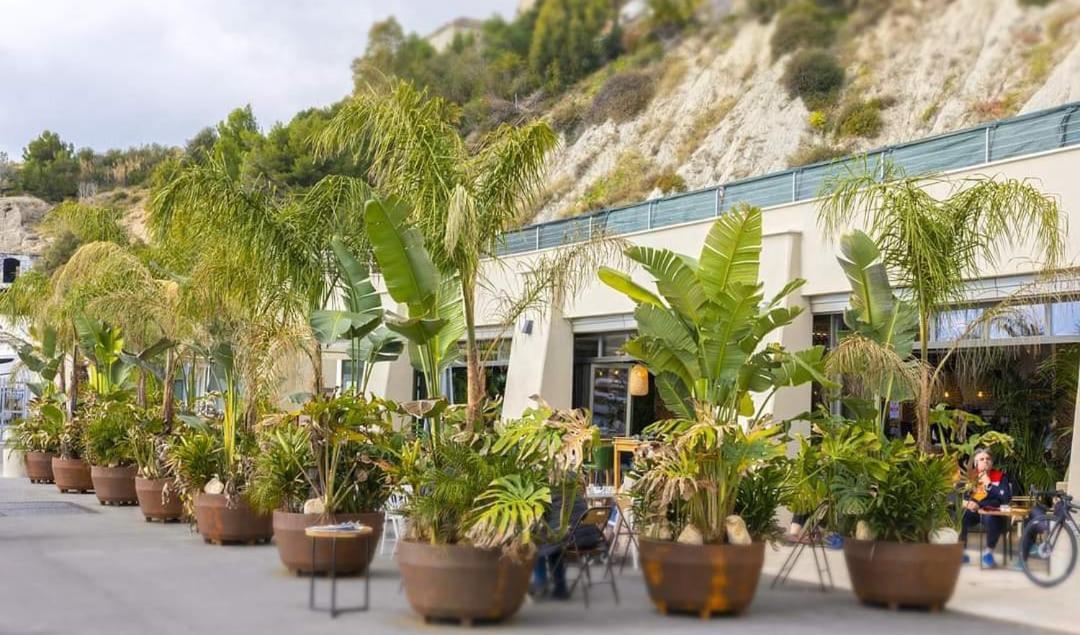 Casa Dolce Vita เวนติมิญา ภายนอก รูปภาพ